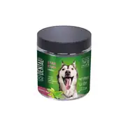 M-Pets Dental Yeşil Çay Özlü Small Stick Köpek Ödülü 170gr 1