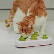Ferplast Trea Hazneli Kedi Eğitim Oyuncağı 2