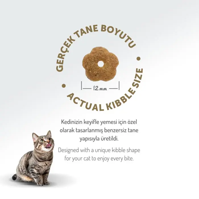Felicia Az Tahıllı Yetişkin Tavuklu HypoAllergenic Kedi Maması 12 Kg