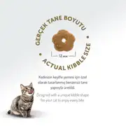 Felicia Az Tahıllı Yetişkin Tavuklu HypoAllergenic Kedi Maması 12 Kg 8