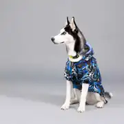 Lindo Blue Star İçi Polarlı Su Geçirmez Köpek Yağmurluğu 3