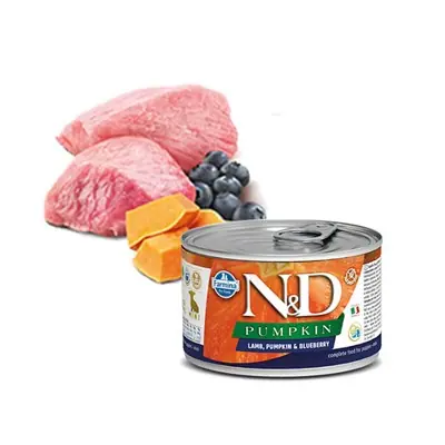 N&D Puppy Mini Pumpkin Balkabak Kuzu Y.Mersini Yavru Köpek Konservesi 140 Gr