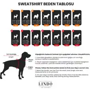 Lindo Mountains Küçük ve Orta Irk Köpek Sweatshirt 4