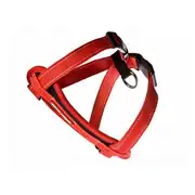 Ezydog Harness Chest Plate Medium Köpek Göğüs Tasması Kırmızı 1