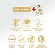 Felicia Az Tahıllı Yetişkin Kuzulu Small Mini HypoAllergenic Köpek Maması 3 Kg 6
