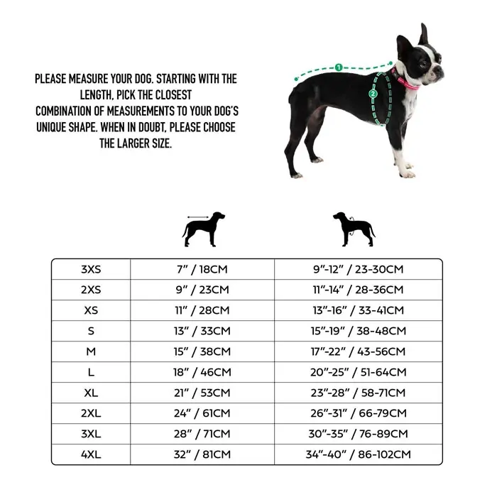 GF PET Retro Köpek Süveteri