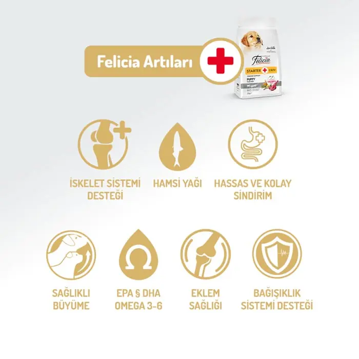 Felicia Az Tahıllı Yavru Kuzulu Small Mini HypoAllergenic Köpek Maması 3 Kg