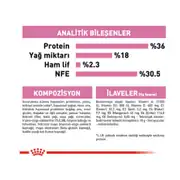 Royal Canin Kitten Yavru Kedi Maması 2 Kg 6 Adet 6