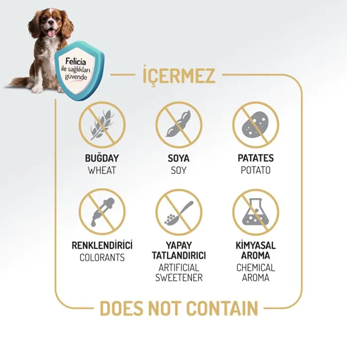 Felicia Az Tahıllı Yetişkin Somonlu Medium Large Breed HypoAllergenic Köpek Maması 15 Kg