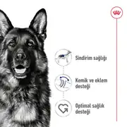 Royal Canin Maxi Adult Yetişkin Köpek Maması 15 Kg 5