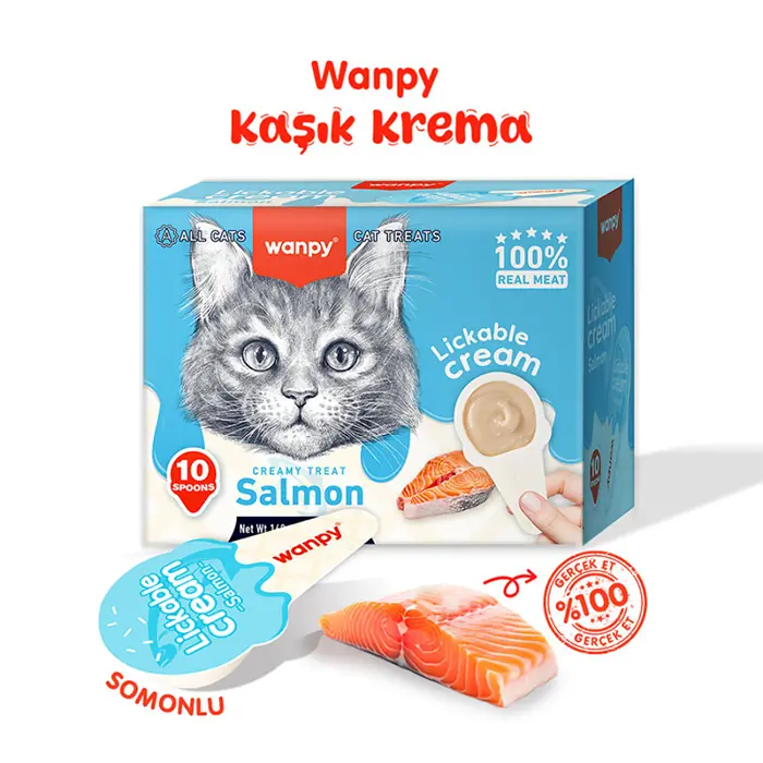 Wanpy Somonlu Kaşıklı Krema Kedi Ödülü 10x16 gr