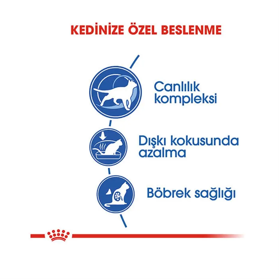 Royal Canin Indoor Sadece Evde Yaşayan Yetişkin Kuru Kedi Maması +7 1,5 Kg