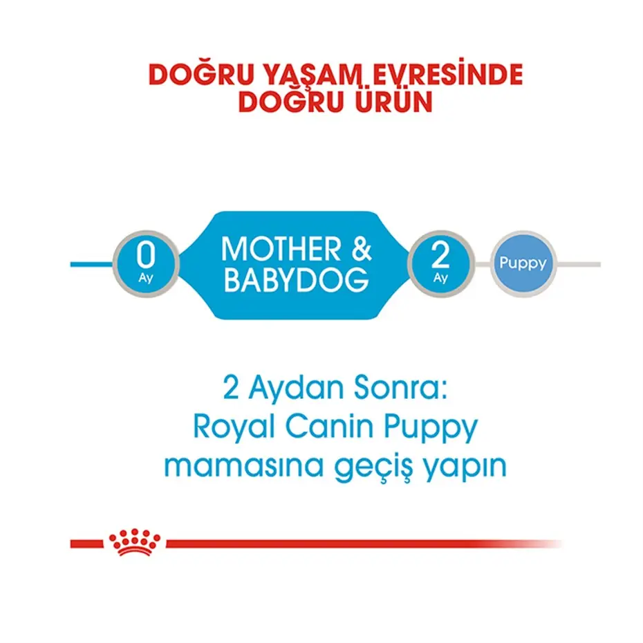 Royal Canin Starter Mousse Anne ve Yavruları İçin Köpek Konservesi 195 Gr