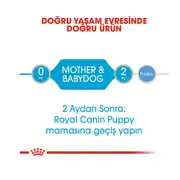 Royal Canin Starter Mousse Anne ve Yavruları İçin Köpek Konservesi 195 Gr 6