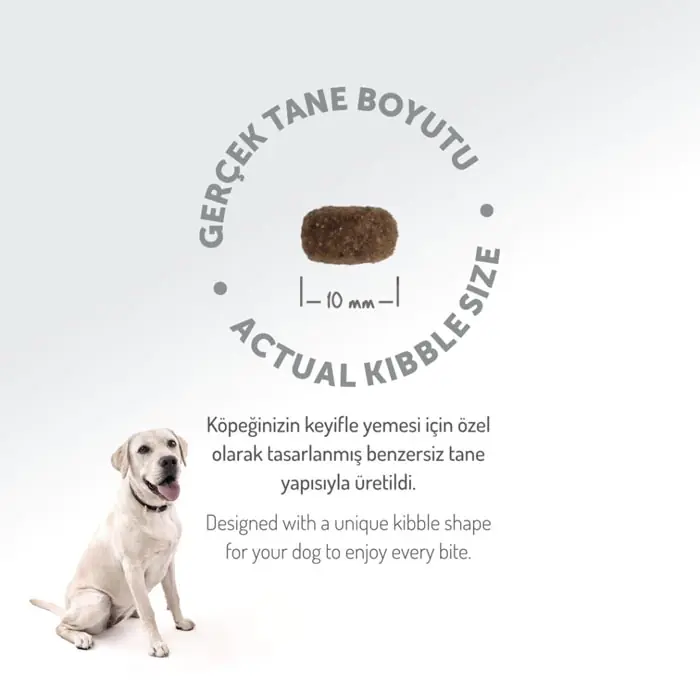 Felicia Az Tahıllı Yetişkin Kuzulu Small Mini HypoAllergenic Köpek Maması 3 Kg