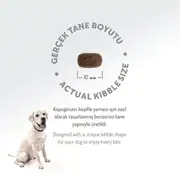 Felicia Az Tahıllı Yetişkin Kuzulu Small Mini HypoAllergenic Köpek Maması 3 Kg 8