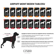 Lindo Air Puff Stone Köpek Montu 3