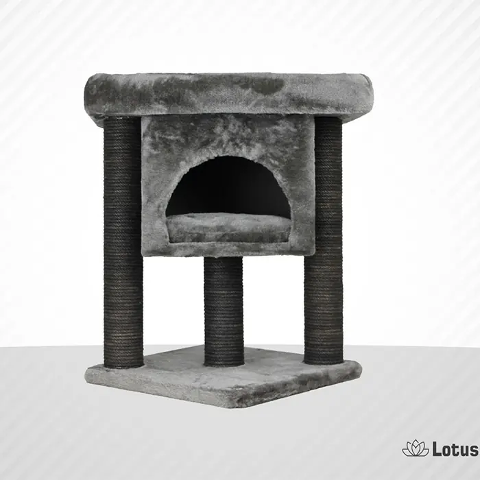 Lotus İzmir Gri Kedi Tırmalama