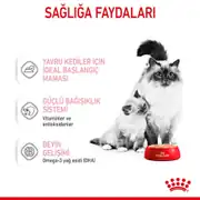 Royal Canin Mother and Babycat Kedi Konservesi 195 gr 4