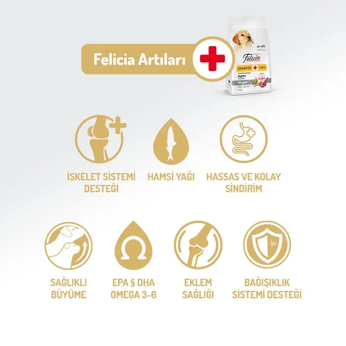 Felicia HypoAllergenic Kuzulu Pirinçli Küçük Irk Düşük Tahıllı Yavru Köpek Maması 6 Kg