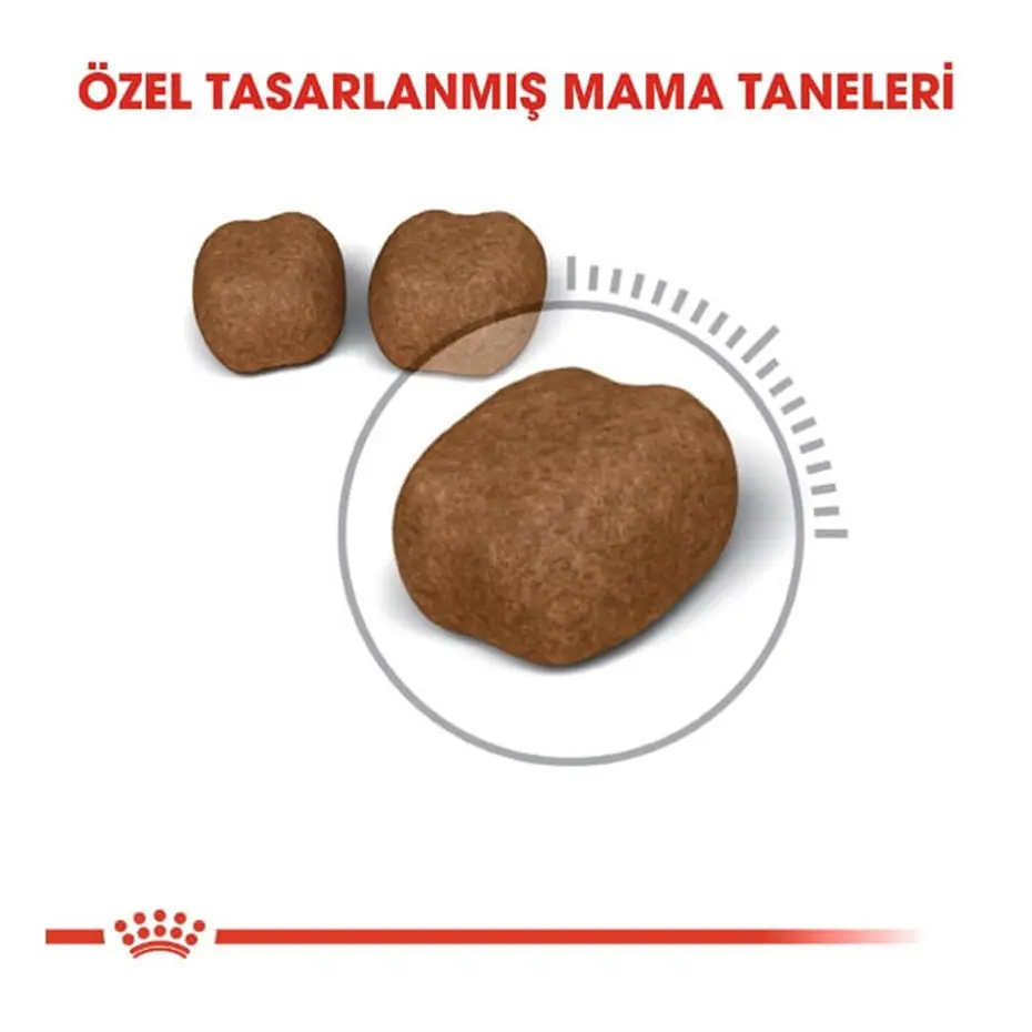 Royal Canin Oral Care Diş Sağlığı Kedi Maması 1,5 Kg