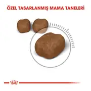 Royal Canin Oral Care Diş Sağlığı Kedi Maması 1,5 Kg 2