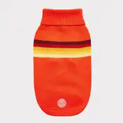 GF PET Retro Köpek Süveteri 5