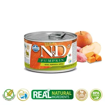 N&D Balkabaklı Yaban Domuz Yetişkin Köpek Konservesi 140g