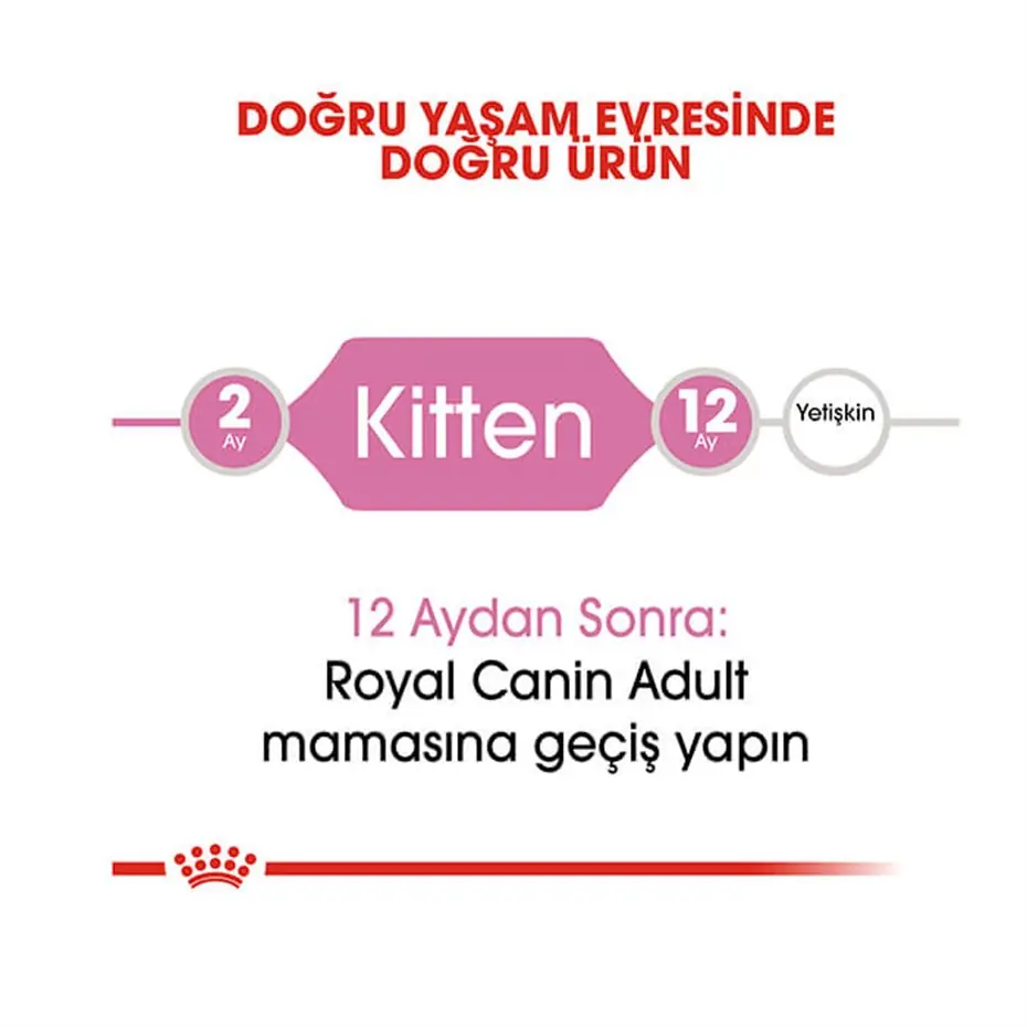 Royal Canin Kitten Yavru Kedi Maması 2 Kg 6 Adet