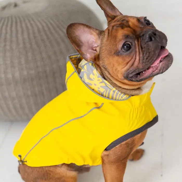 GF PET Çift Taraflı Giydirilebilen Köpek Yağmurluğu