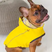GF PET Çift Taraflı Giydirilebilen Köpek Yağmurluğu 2