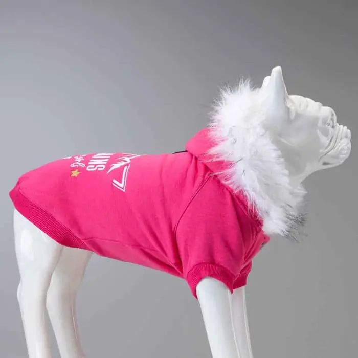 Lindo Mountains Küçük ve Orta Irk Köpek Sweatshirt