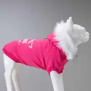 Lindo Mountains Küçük ve Orta Irk Köpek Sweatshirt 2