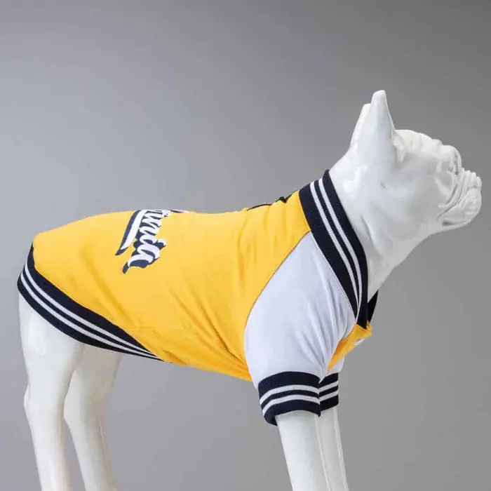 Lindo College California Küçük, Orta ve Büyük Irk Köpek Sweatshirt