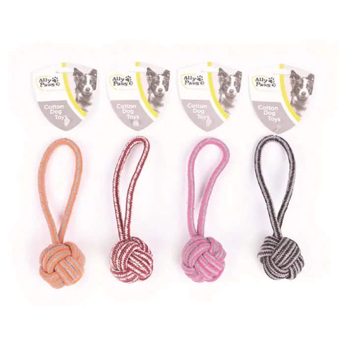 Ally Paws Diş İpi Köpek Oyuncağı 20cm