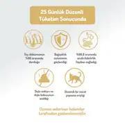 Felicia Az Tahıllı Yetişkin Tavuklu HypoAllergenic Kedi Maması 2 Kg 4
