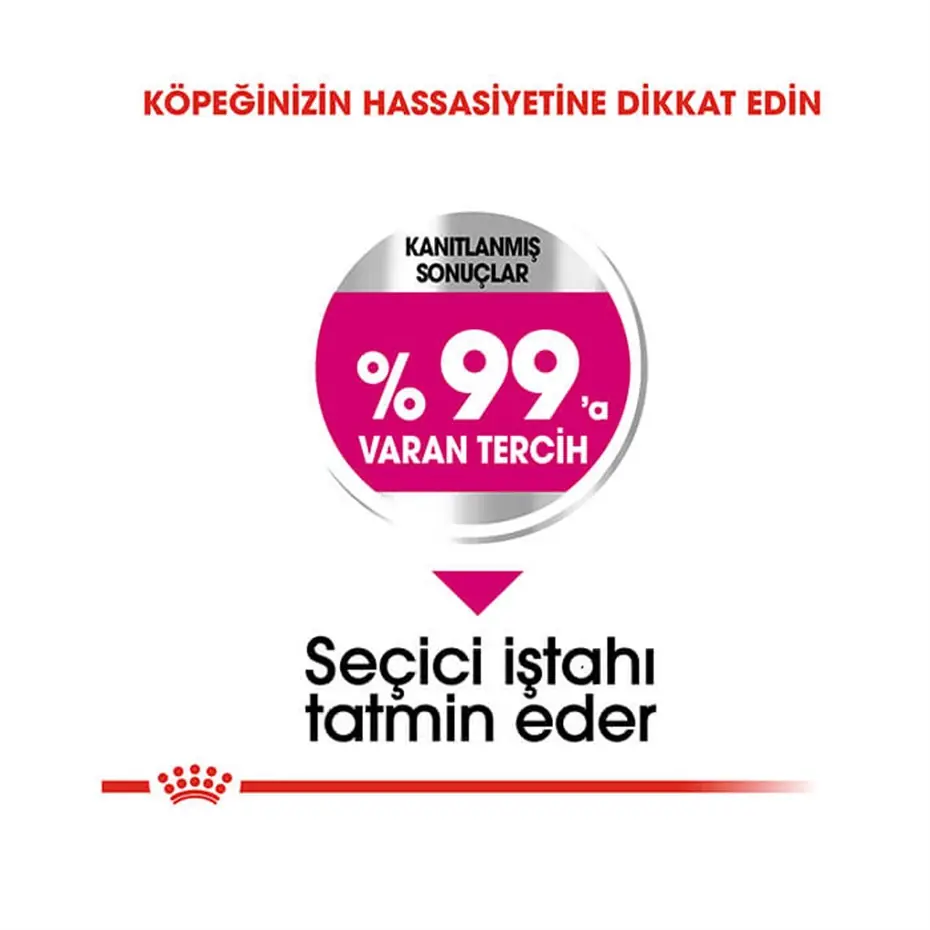 Royal Canin Ccn Mini Exigent Yetişkin Köpek Maması 3 Kg