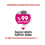 Royal Canin Ccn Mini Exigent Yetişkin Köpek Maması 3 Kg 3