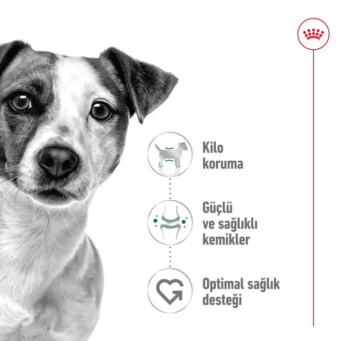 Royal Canin Mini Adult Küçük Irk Köpek Maması 8 Kg