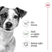 Royal Canin Mini Adult Küçük Irk Köpek Maması 8 Kg 6