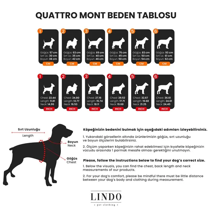 Lindo Quattro Vega Köpek Yağmurluğu