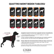 Lindo Quattro Vega Köpek Yağmurluğu 4
