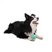 M-Pets Vice Versa Et Aromalı Top Köpek Oyuncağı 3