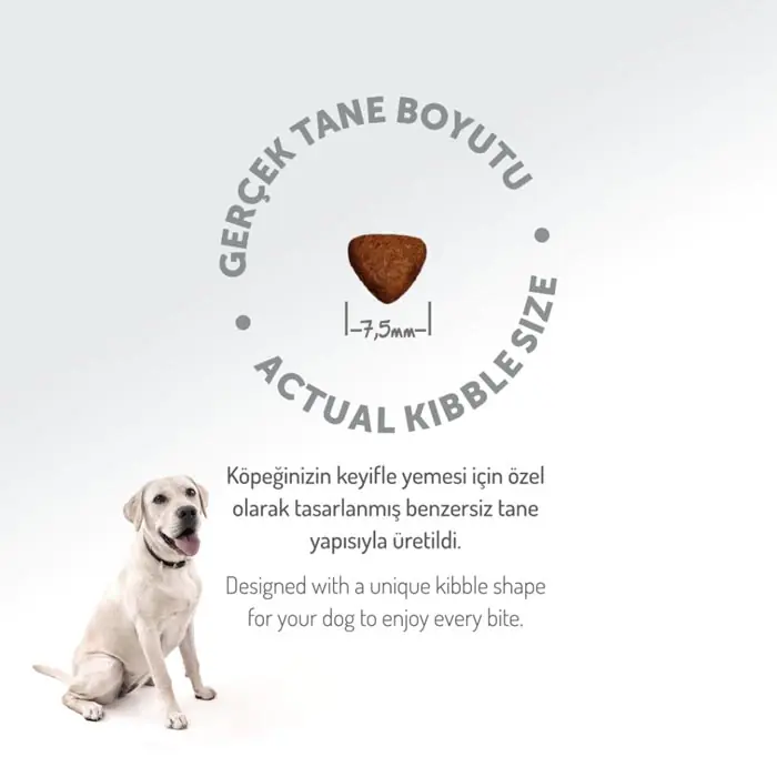 Felicia Az Tahıllı Yavru Kuzulu Small Mini HypoAllergenic Köpek Maması 3 Kg