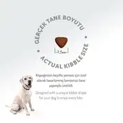 Felicia Az Tahıllı Yavru Kuzulu Small Mini HypoAllergenic Köpek Maması 3 Kg 8