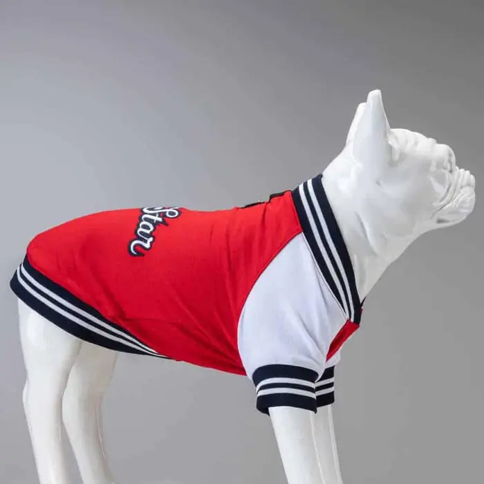 Lindo College AllStar Küçük, Orta ve Büyük Irk Köpek Sweatshirt