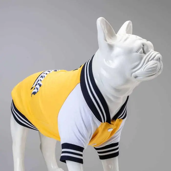 Lindo College California Küçük, Orta ve Büyük Irk Köpek Sweatshirt
