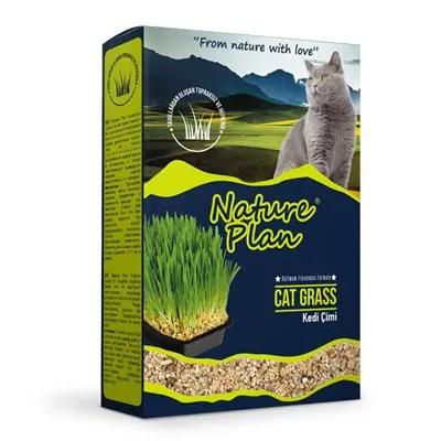 NaturePlan Kedi Çimi
