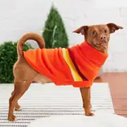 GF PET Retro Köpek Süveteri 1