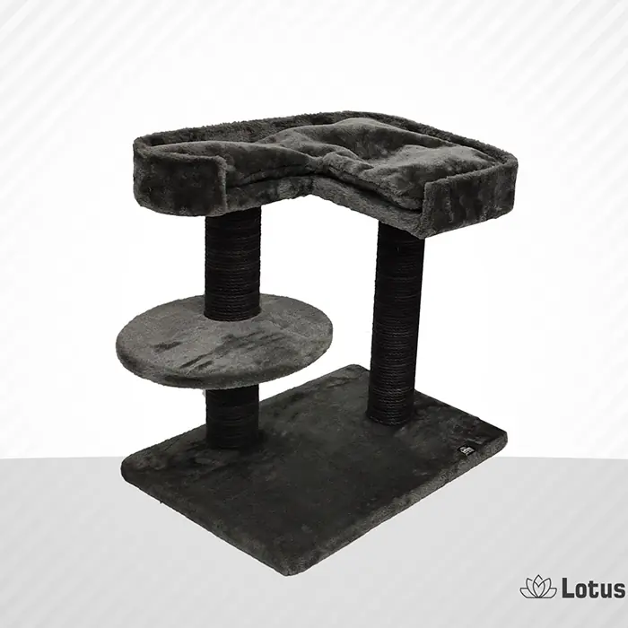 Lotus Padua Gri Kedi Tırmalama